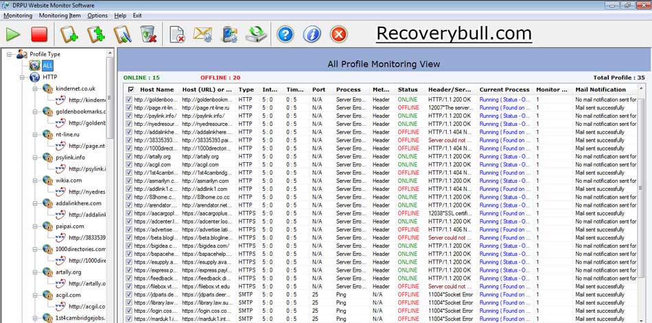 Website Downtime Monitoring Tool