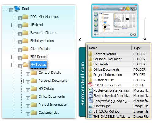 Screenshot of Data Recovery Software Windows