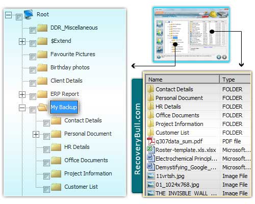 Data Recovery Software Windows