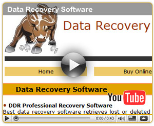 Recoverybull.com on Youtube