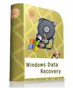 Windows Data Recovery Software