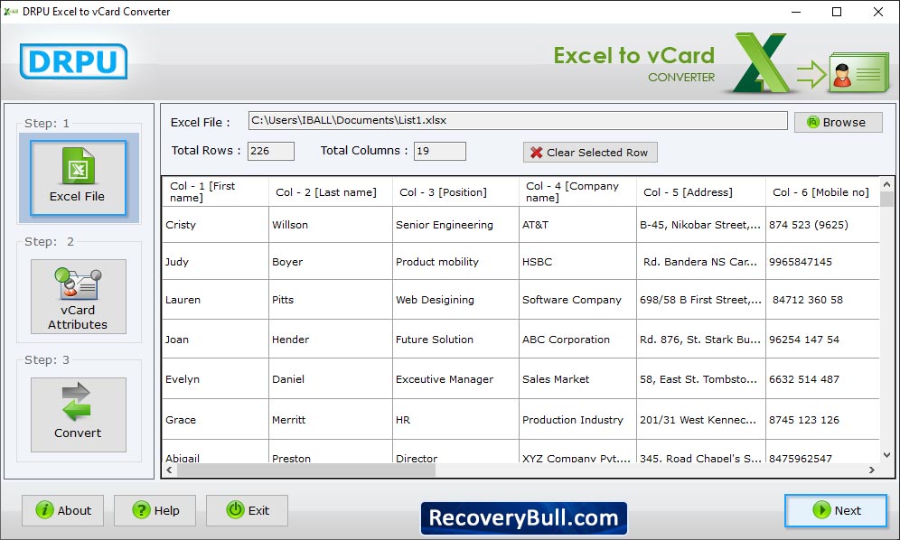 Excel Sheet with Data View Excel to vCard Converter