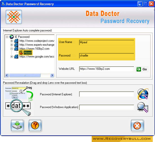 Internet Explorer Password Recovery  Tool